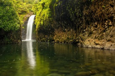 Lavena sahil yürüyüş üzerinde Taveuni sonundaki Wainibau şelale 