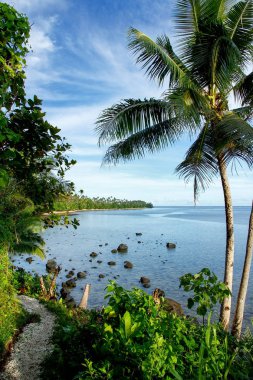 Taveuni Island, Fiji Lavena kostal yürüyüş boyunca okyanus görmek