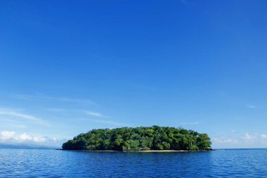 Taveuni, Fiji adasının kıyıları küçük ada