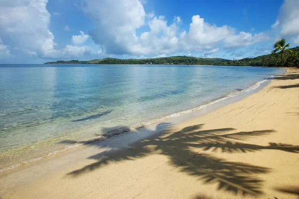 Písečná pláž s stín palmy, ostrov Nananu-i-Ra, Fi — Stock fotografie