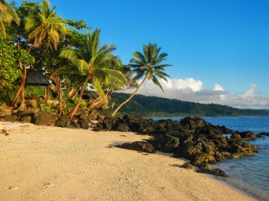 Sandy beach Lavena Köyü Taveuni Island, Fiji