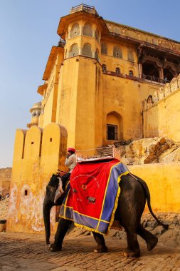 Amber Fort Arnavut kaldırımlı yolda gidiş fil dekore edilmiş