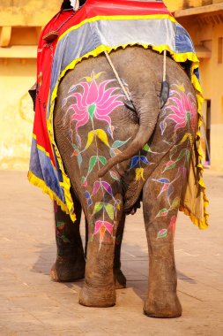 Arka Jaleb Chowk (ana courtya yürüyüş bir filin boyalı