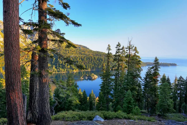 Fenyves erdő körüli Emerald Bay at Lake Tahoe, Kalifornia, U — Stock Fotó