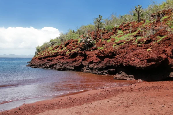 Playa de arena roja en Isla Rábida, Parque Nacional Galápagos, Ecuado —  Fotos de Stock