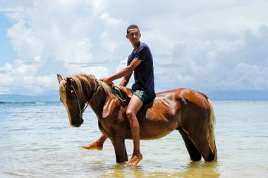 Taveuni, Fiji - 23 Kasım: Kimliği belirsiz sürmek ata