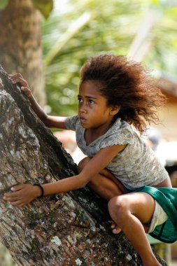 Lavena, Fiji - 27 Kasım: Tanımlanamayan kızlar oturur bir Palm'da tr