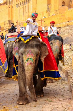 Amber, Hindistan - 1 Mart: Kimliği belirsiz bir şekilde dekore edilmiş fil ata binip