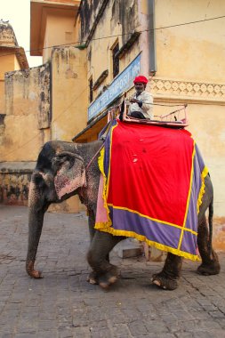 Amber, Hindistan - 13 Kasım: Kimliği belirsiz sürmek YYK dekore edilmiş