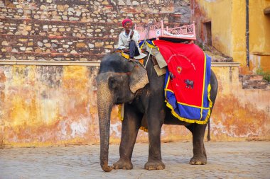 Amber, Hindistan - 13 Kasım: Kimliği belirsiz sürmek YYK dekore edilmiş