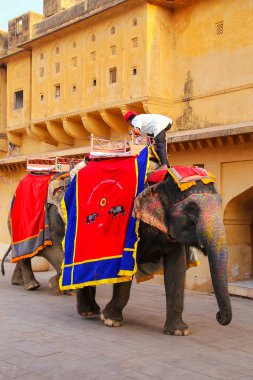 Amber, Hindistan - 13 Kasım: Kimliği belirsiz sürmek YYK dekore edilmiş