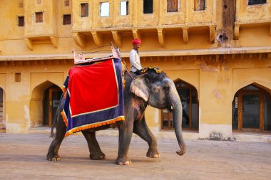 Amber, Hindistan - 13 Kasım: Kimliği belirsiz sürmek YYK dekore edilmiş
