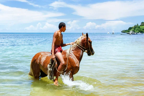 Taveuni, Fiji - 23 November: Onbekende man rijdt paard op de — Stockfoto