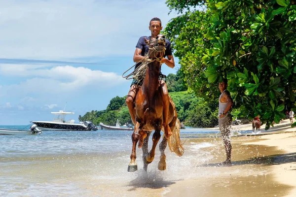 Taveuni, Fiji - 23 November: Oidentifierad man rider hästen på den — Stockfoto