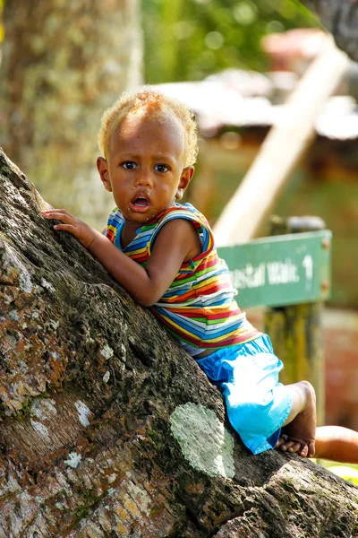 LAVENA, FIJI - 27 DE NOVIEMBRE: Niño no identificado sentado en un árbol de estuco — Foto de Stock