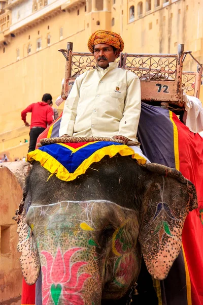 AMBER, INDIA - MARCH 1: Unidentified man rides decorated elephan — Stock Photo, Image