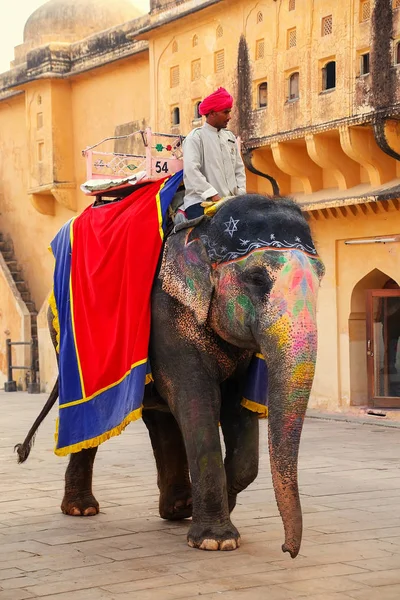 Amber, India - 13 November: Onbekende man rijdt ingericht ele — Stockfoto