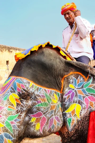 AMBER, INDIA - NOVEMBER 13: Unidentified man rides decorated ele — Stock Photo, Image