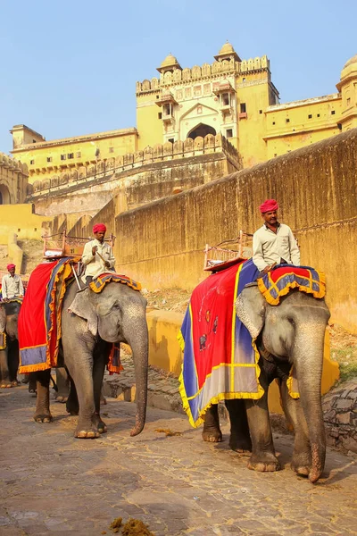 AMBER, INDIA - 13 DE NOVIEMBRE: Hombres no identificados cabalgan elep condecorados — Foto de Stock