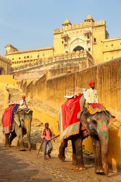 AMBER, INDIA - 13 DE NOVIEMBRE: Hombres no identificados cabalgan elep condecorados — Foto de Stock