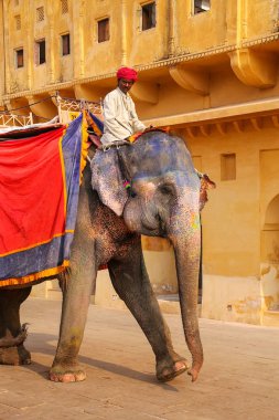 Amber, Hindistan - 13 Kasım: Kimliği belirsiz sürmek YYK dekore edilmiş