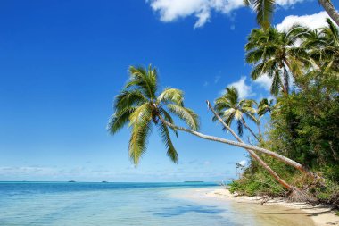 Tonga adasında Tongatapu Makaha'a kıyıya ada