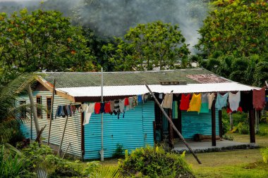 Taveuni Island, Fiji Lavena köyünde tipik Fiji ev