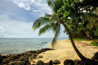 Sandy beach Lavena Köyü Taveuni Island, Fiji