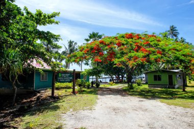 Bouma National Heritage Park visitor center in Lavena village on clipart