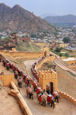 Arnavut kaldırımlı yolda Amber Fort için gidiş filler dekore edilmiş 