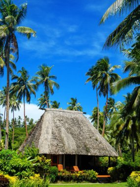 Vanua Levu Island, Fiji thatched çatı ile geleneksel ev