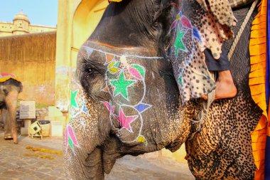 Boyalı fil Amber Fort yakınındaki Jaipu için yürüyüş portresi
