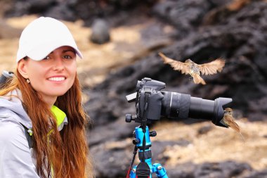 Young woman photographing on Santiago Island with Galapagos flycatcher on her lens hood, Galapagos National Park, Ecuador clipart