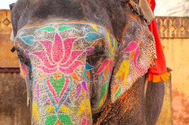 Boyalı fil Amber Fort yakınındaki Jaipu için yürüyüş portresi