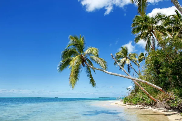 Kust van Makaha'a eiland in de buurt van Tongatapu eiland in Tonga — Stockfoto