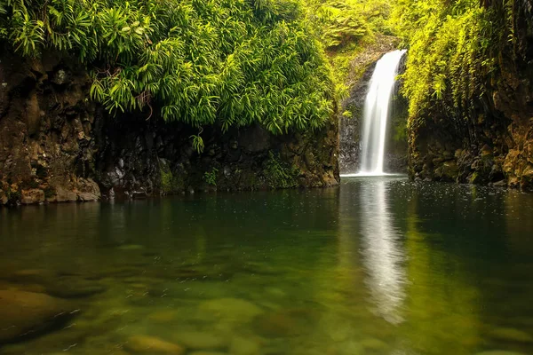 Cascade de Wainibau à la fin de la promenade côtière de Lavena sur Taveuni — Photo