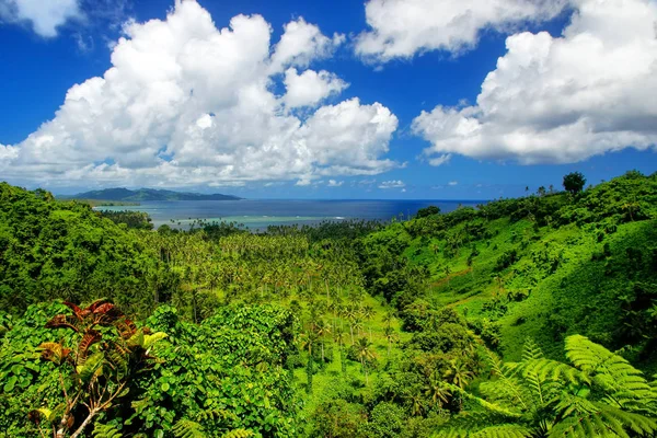 Vista do Parque Nacional do Patrimônio Bouma e do estreito de Somosomo na Tave — Fotografia de Stock