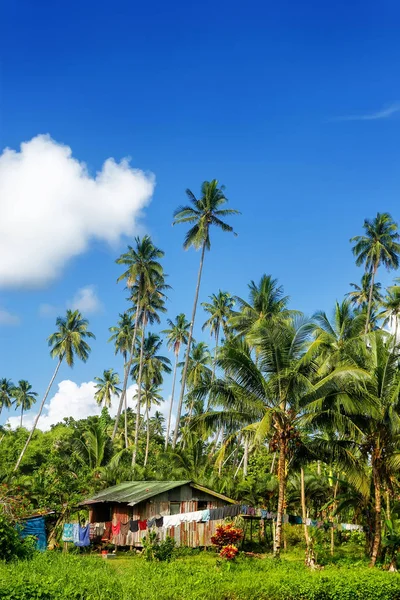 Maison typique dans le village de Bouma entourée de palmiers sur Taveu — Photo