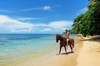 Taveuni, Fiji - 23 Kasım: Kimliği belirsiz sürmek ata