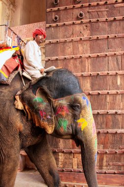 Amber, Hindistan - 1 Mart: Kimliği belirsiz rides elephan dekore edilmiş