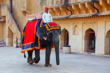 Amber, Hindistan - 13 Kasım: Kimliği belirsiz sürmek YYK dekore edilmiş