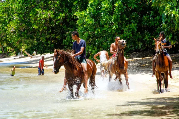 TAVEUNI, FIJI - NOVEMBRO 23: Homens não identificados montam cavalos no — Fotografia de Stock