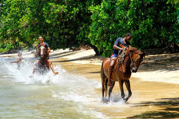 Taveuni, Fiji - 23 November: Oidentifierade män rida hästar på den — Stockfoto