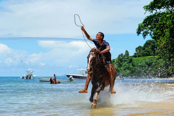 TAVEUNI, FIJI - 23 DE NOVIEMBRE: Un hombre no identificado monta a caballo en el —  Fotos de Stock