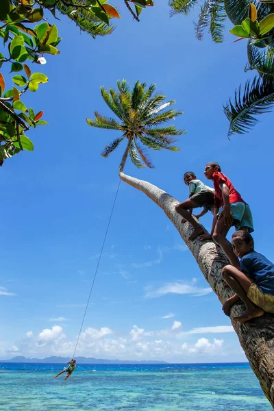 Lavena, Fidži - 27. listopadu: Neidentifikovaný děti houpačka na lano sw — Stock fotografie