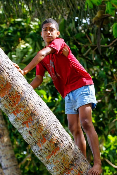 LAVENA, FIJI - 27 DE NOVIEMBRE: Niño no identificado sentado en un árbol de estuco — Foto de Stock