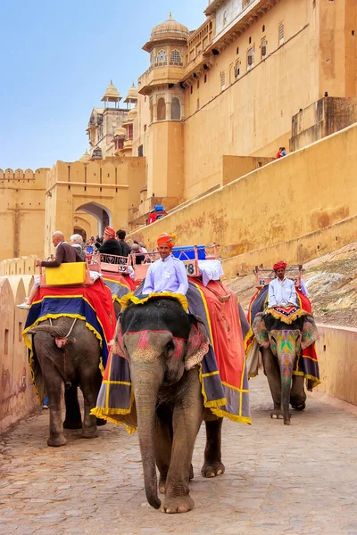 AMBER, INDIA - 1 DE MARZO: Hombres no identificados montan elefante condecorado — Foto de Stock