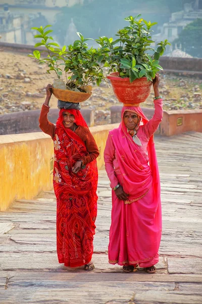 AMBER, INDIA - NOVEMBER 13: Unidentified women walk with plants — Stock Photo, Image