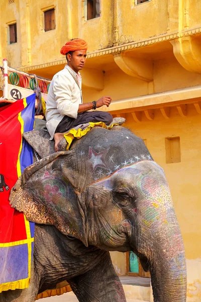 Amber, Indien - 13 November: Oidentifierad man rider inredda ele — Stockfoto
