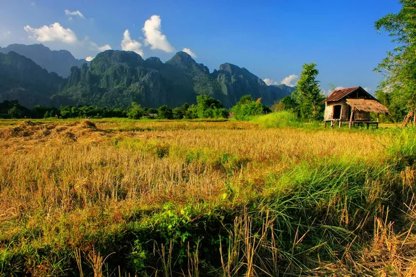 Καλύβα του γεωργού σε ένα πεδίο σε Βανγκ Βιενγκ, Επαρχία Vientien, Λάος — Φωτογραφία Αρχείου